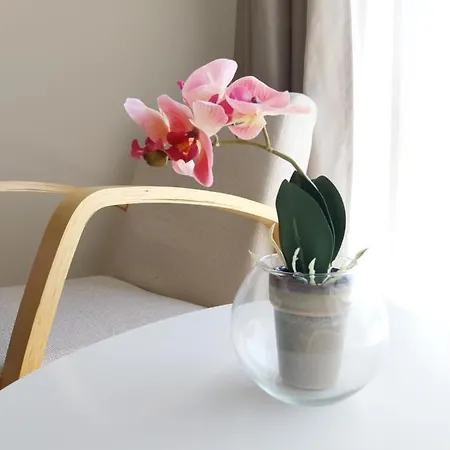 Aisa Apartment